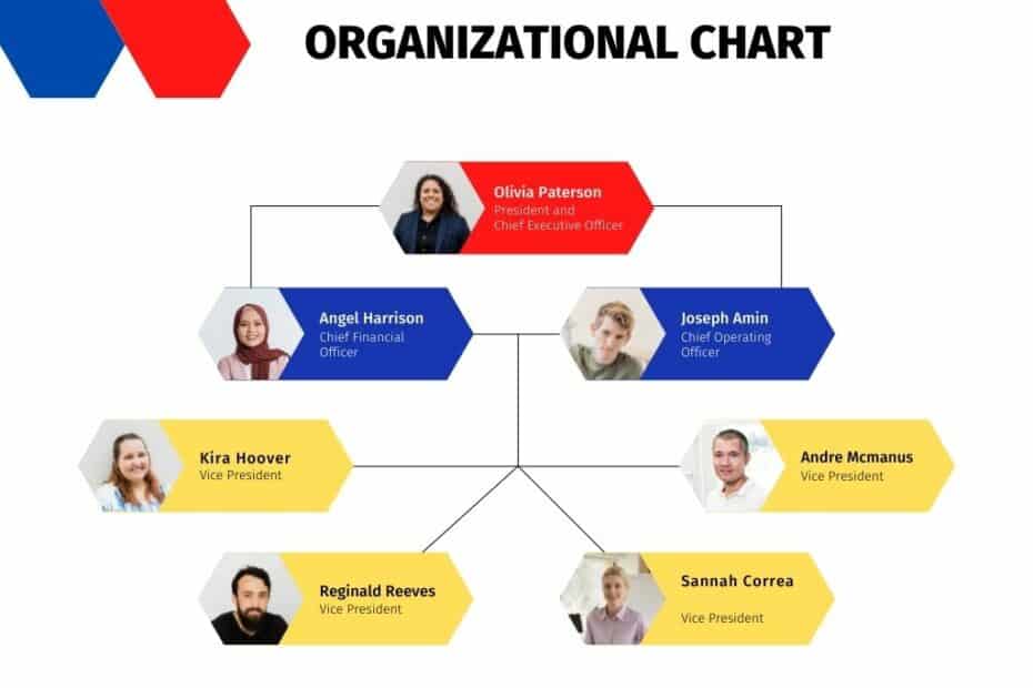 Organizational Chart