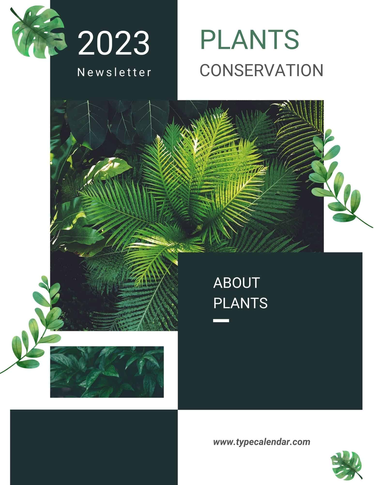 Printable Monthly Newsletter Printable Monthly Newsletter