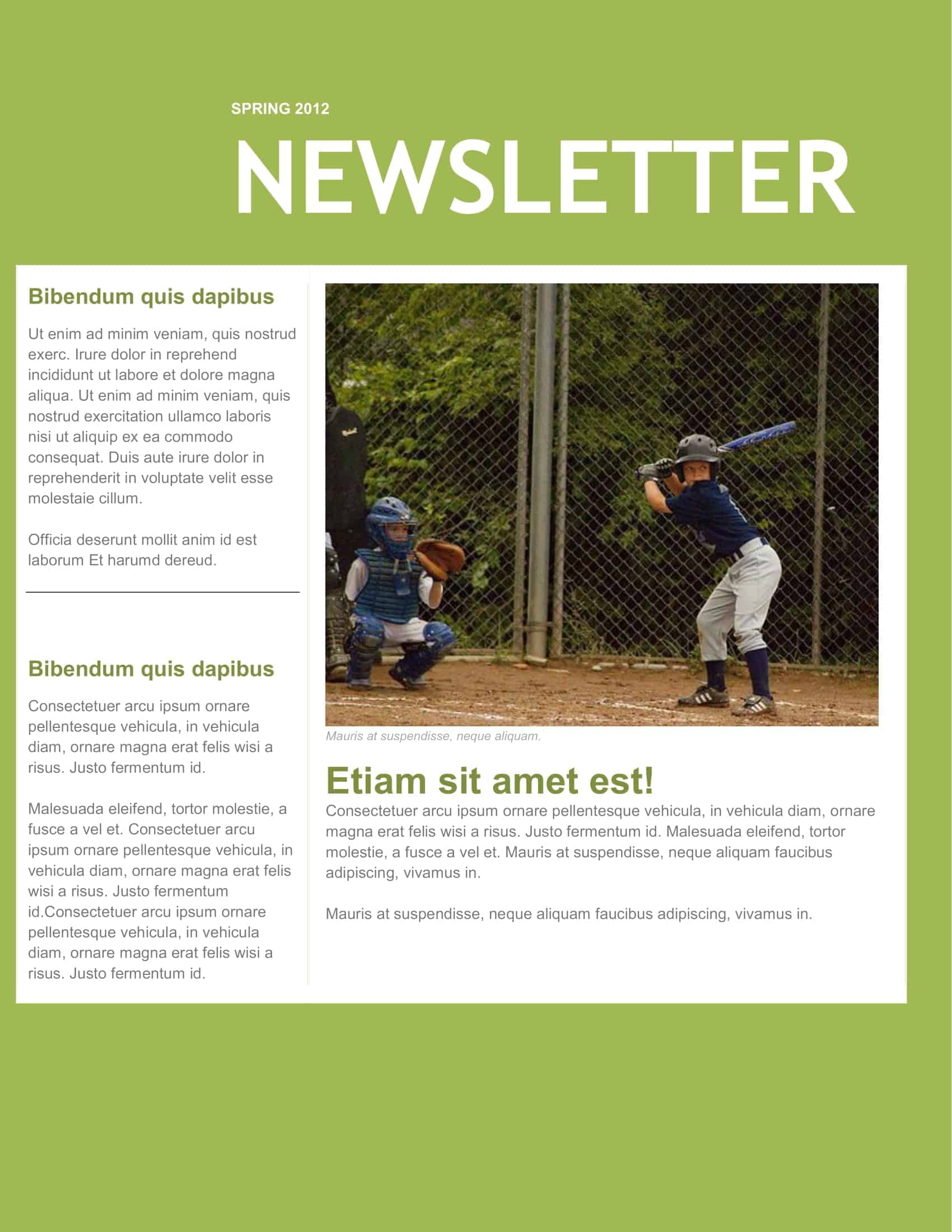 free word newsletter templates free word newsletter templates