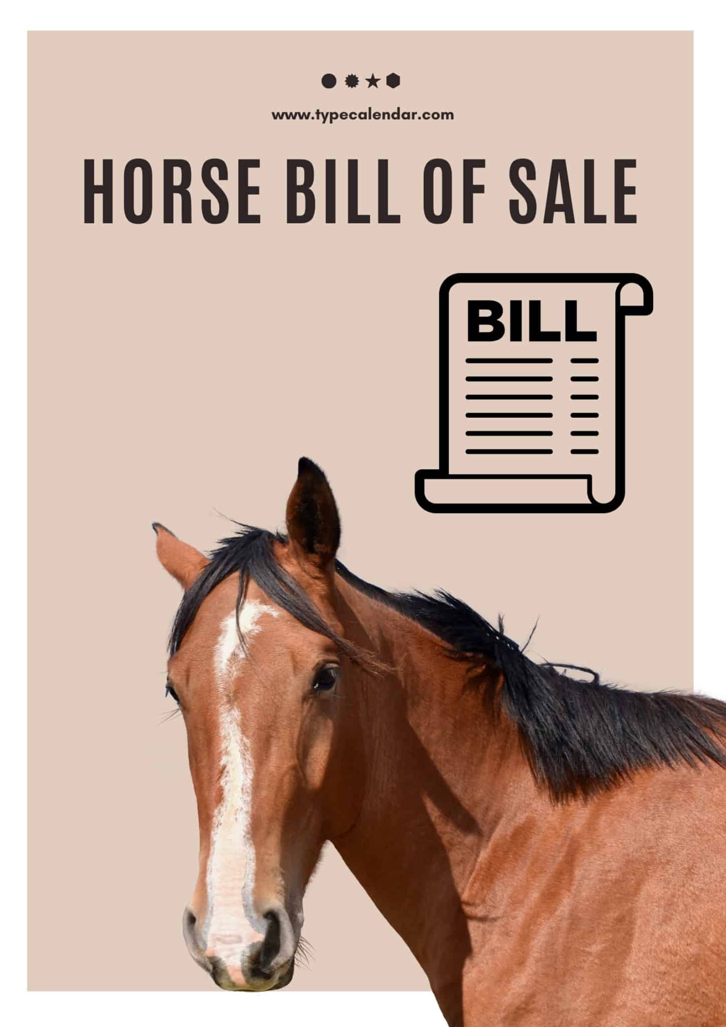 Free Printable Horse Bill Of Sale Template PDF &amp; Word Forms