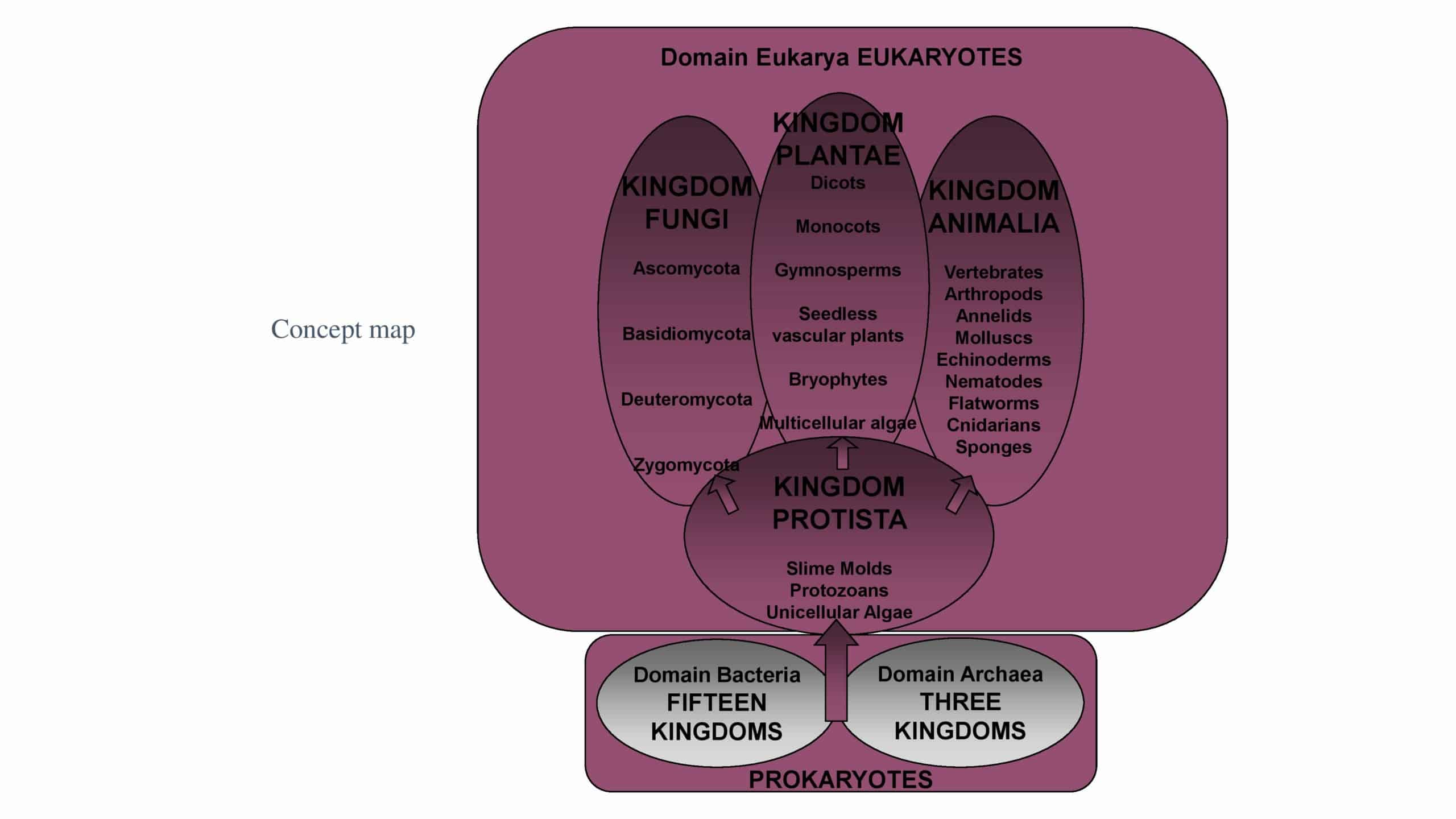 what is concept mapping what is concept mapping