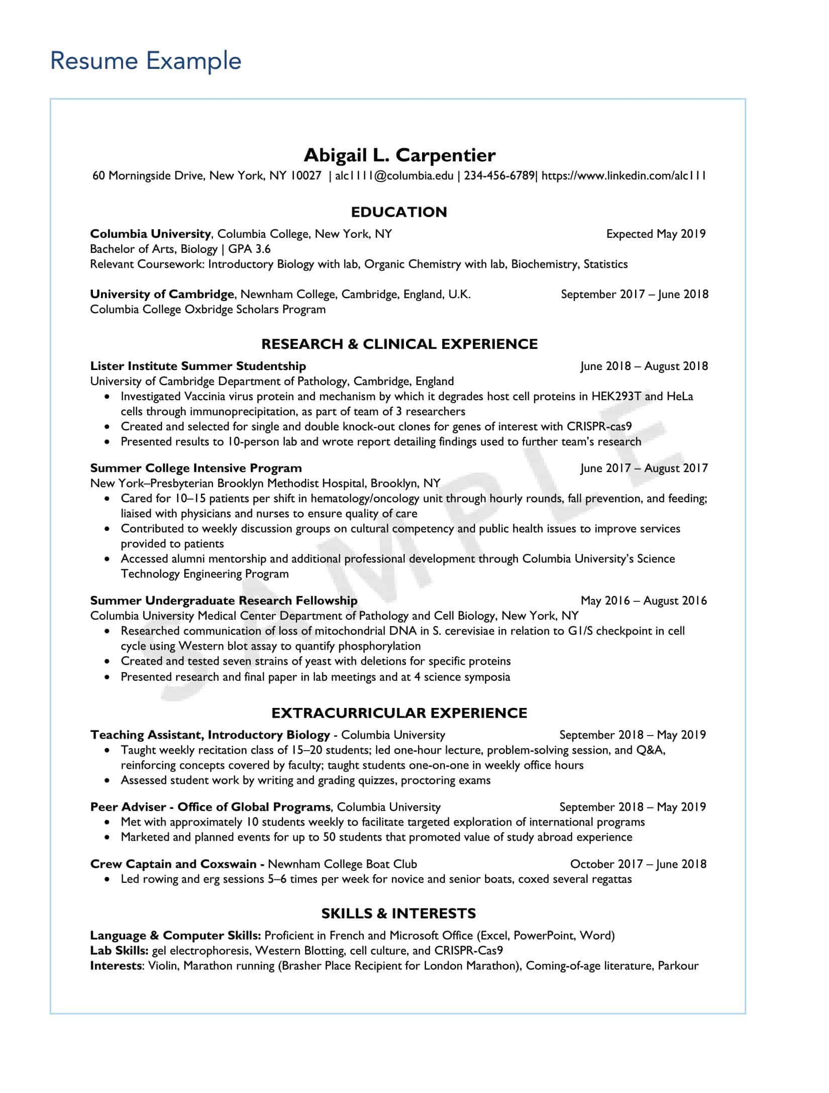 college resume examples college resume examples