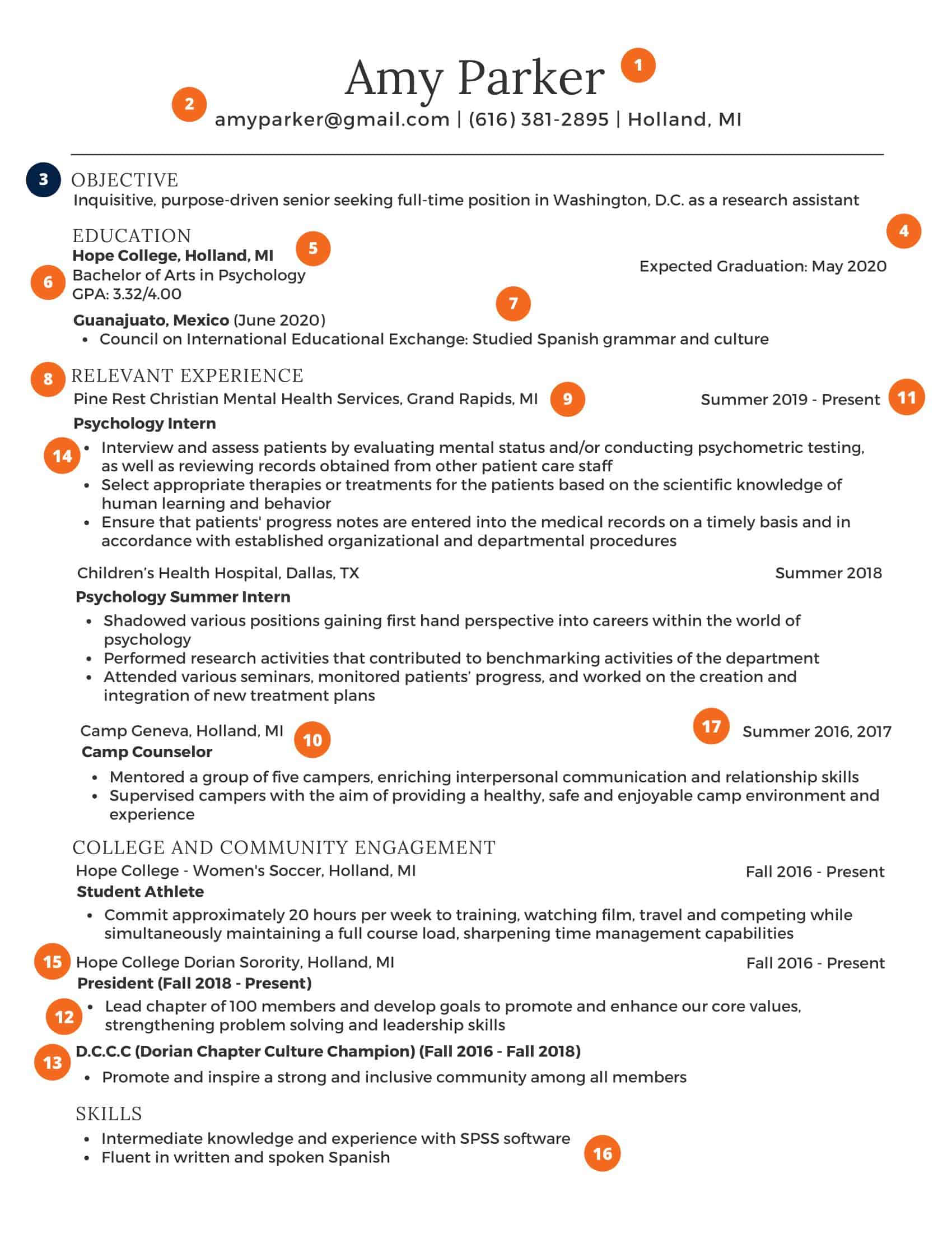 sample resumes for college students sample resumes for college students