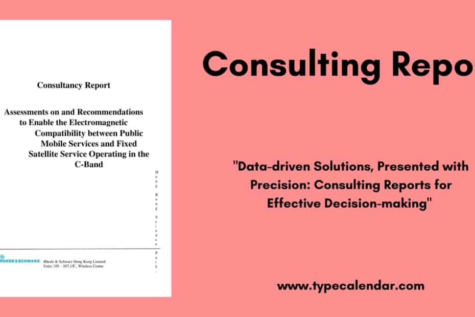 Consulting Report