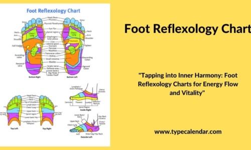 Free Printable Foot Reflexology Chart (Left & Right) Female, Baby, Real