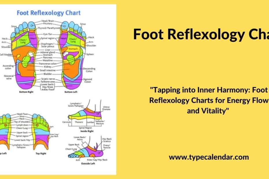 Foot Reflexology Chart