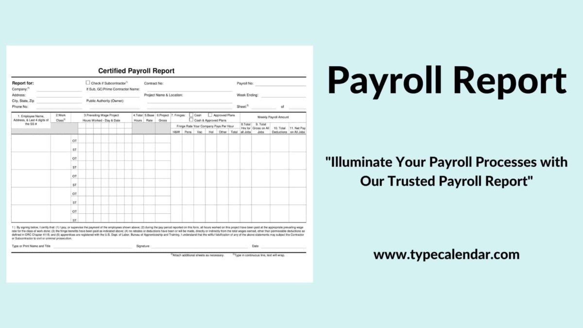 Free Printable Payroll Report Templates [Excel, Word, PDF]