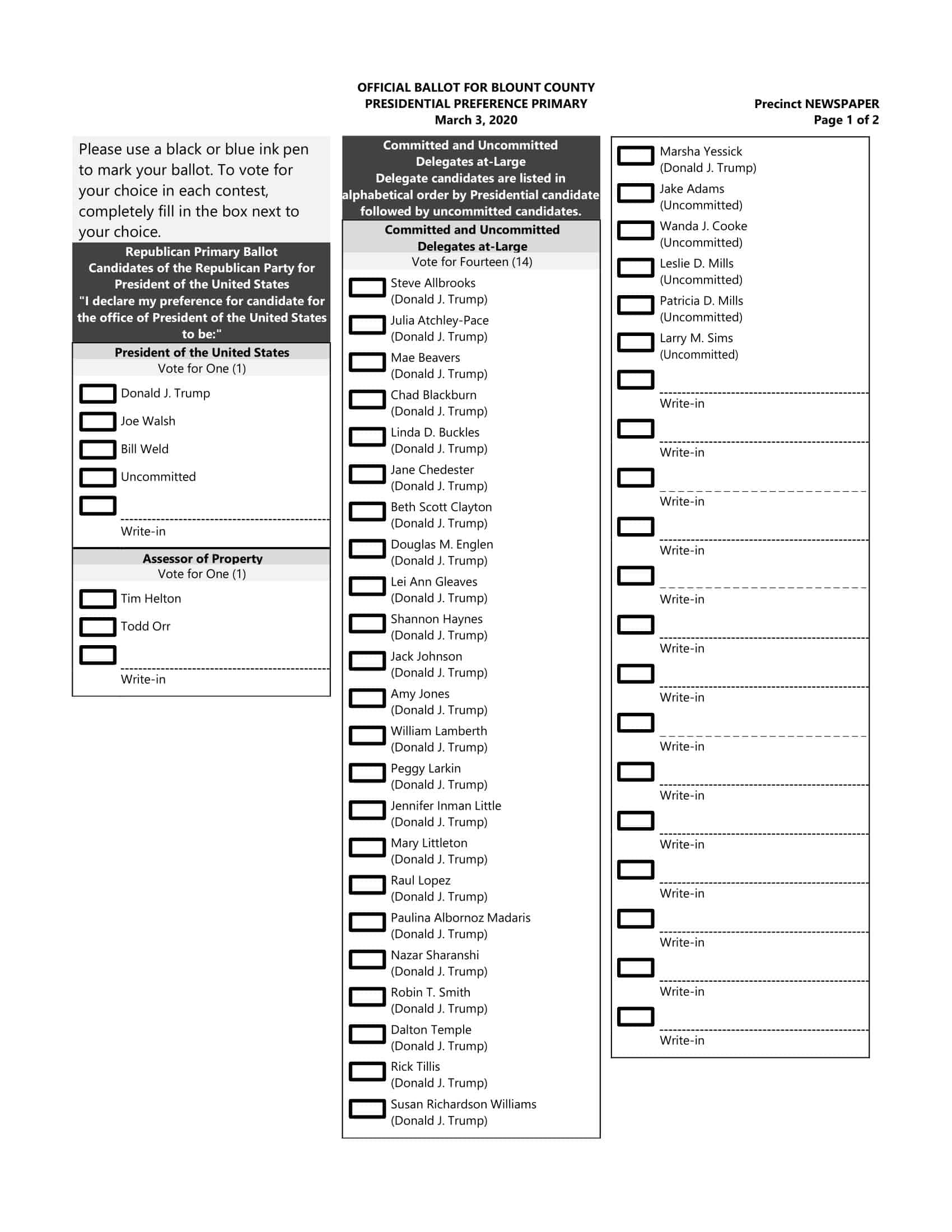 Free Printable Ballot Templates Word PDF Sample Voting Free Printable Ballot Templates Word PDF Sample Voting