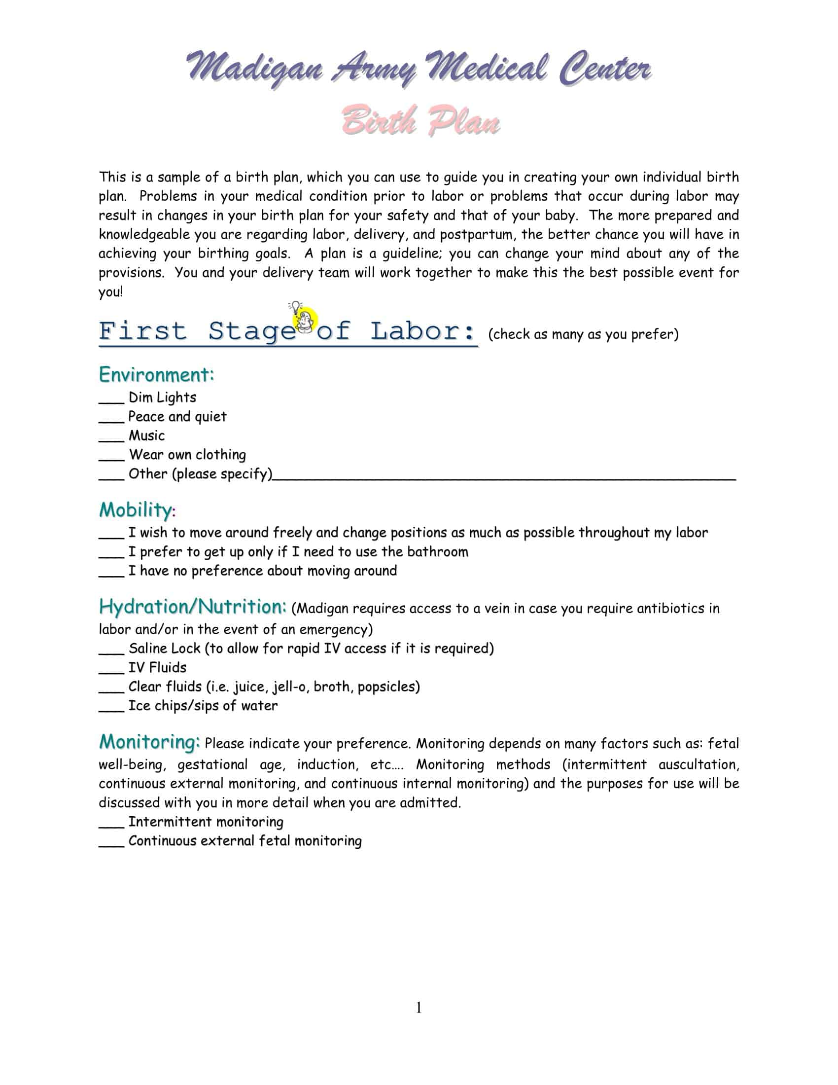 birth plan ideas birth plan ideas