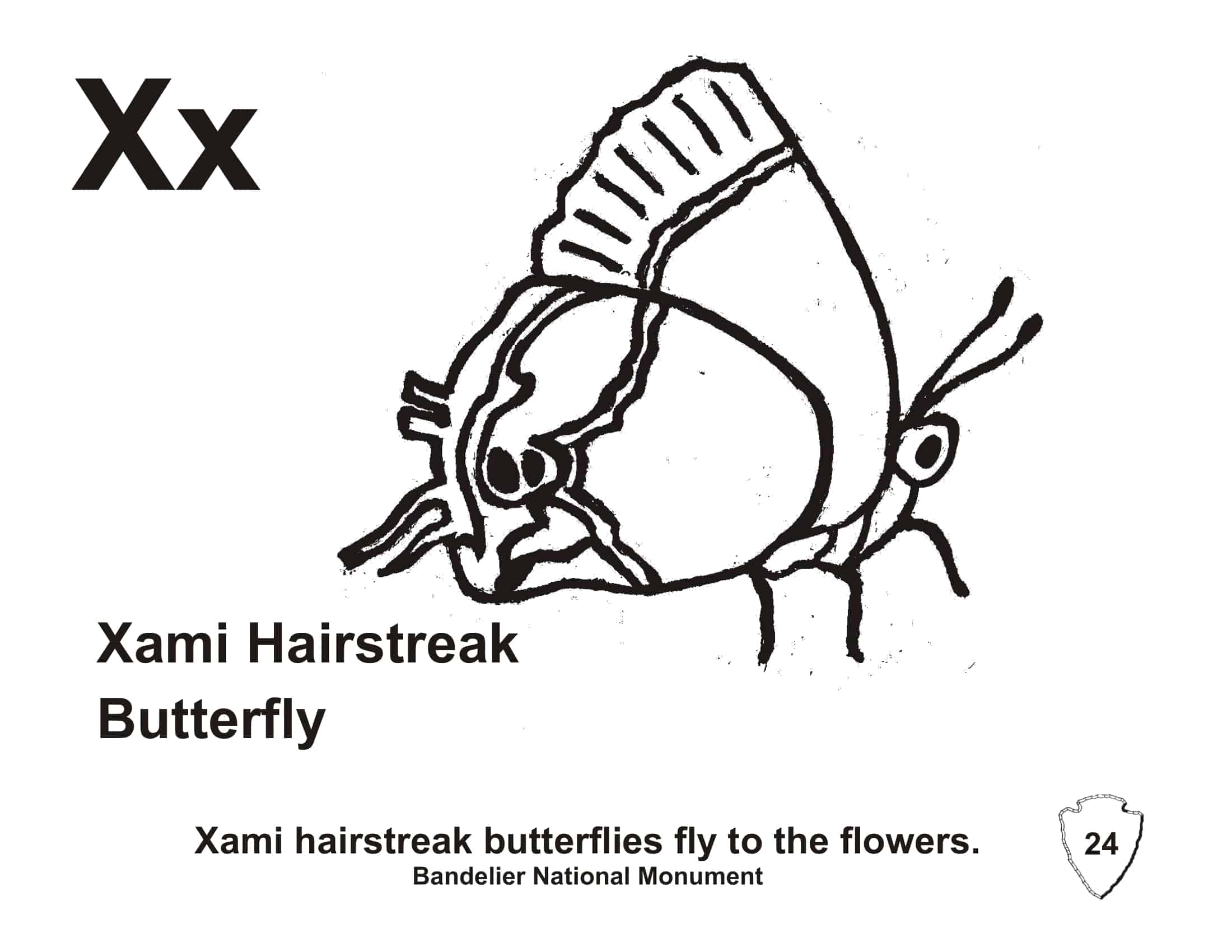 butterflies template printable butterflies template printable