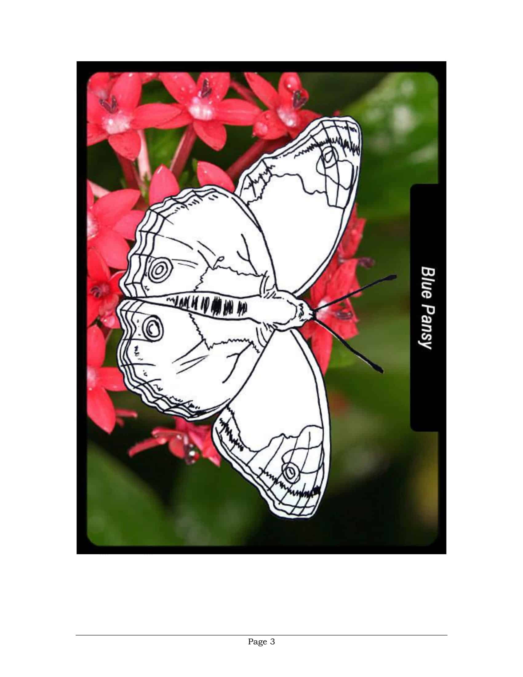 butterfly invitation template butterfly invitation template