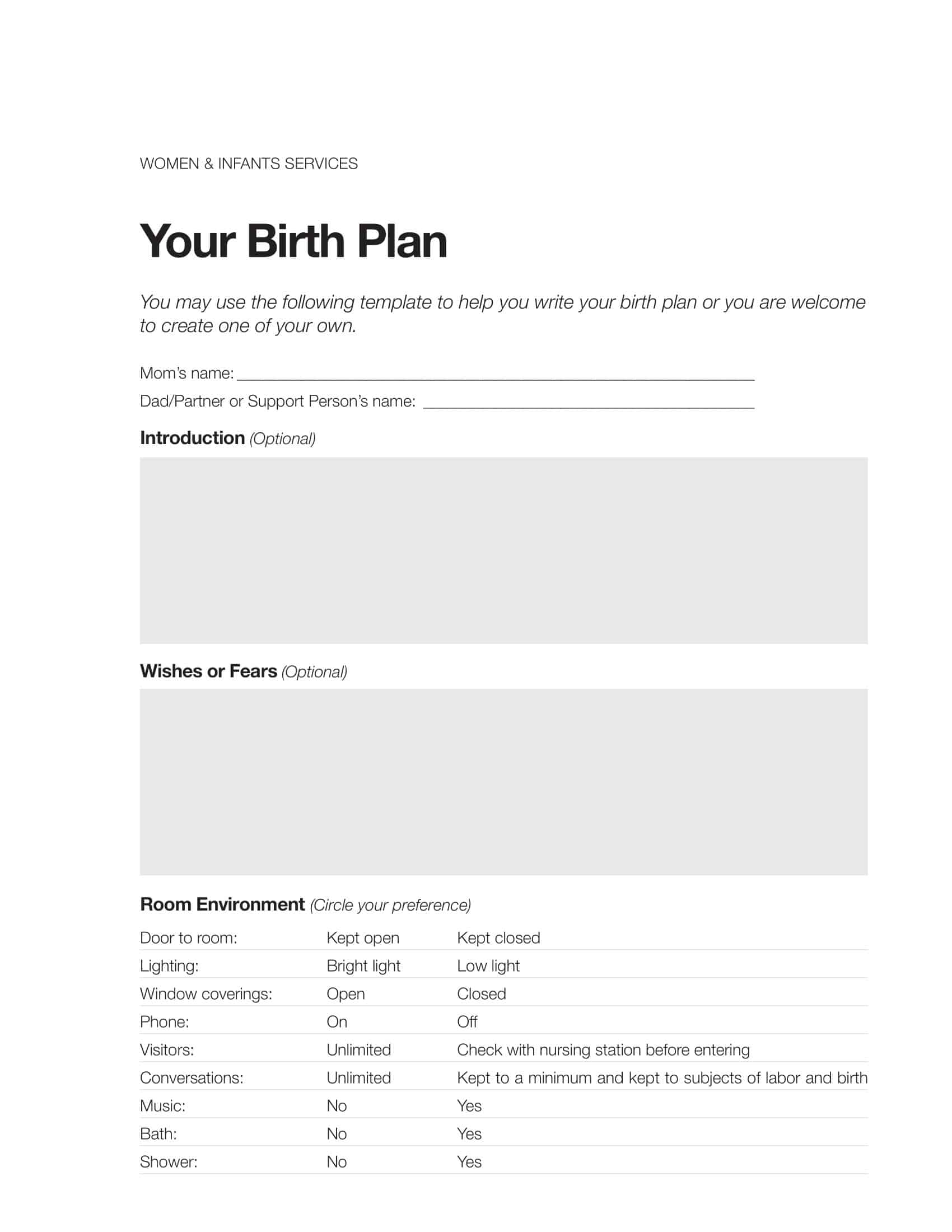 example birth plans example birth plans
