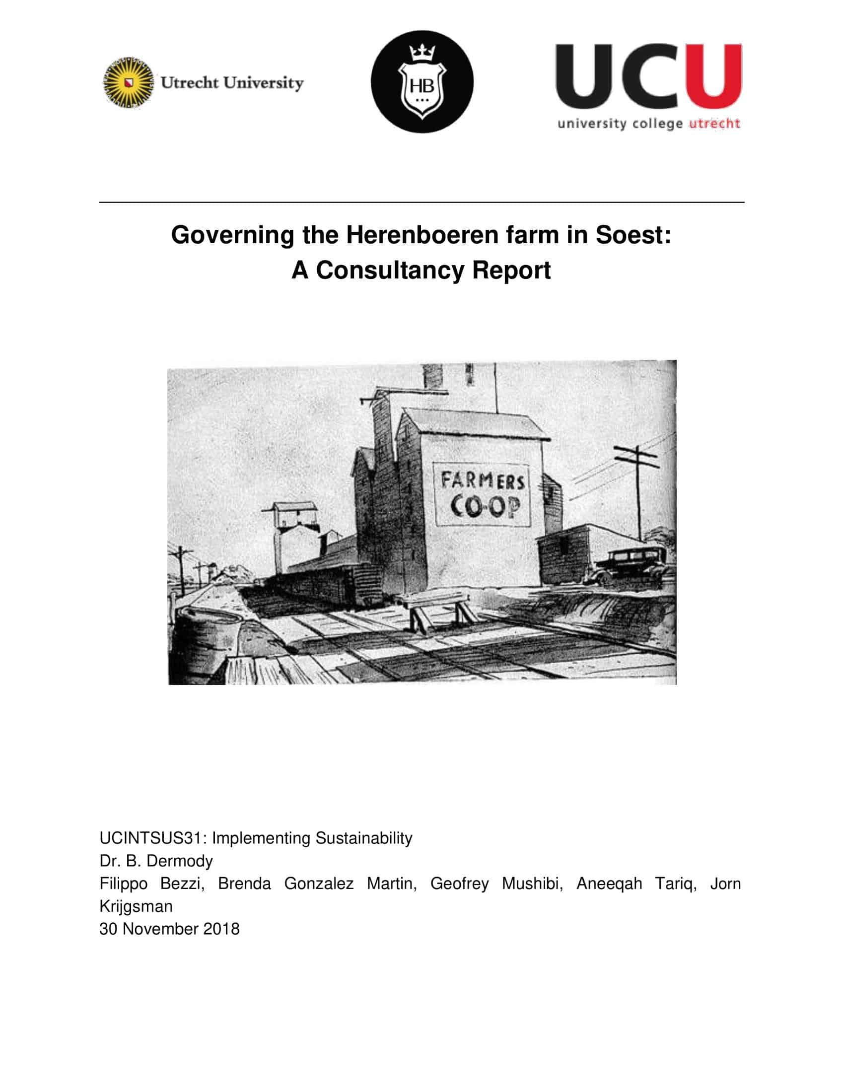 example of a consultant report example of a consultant report