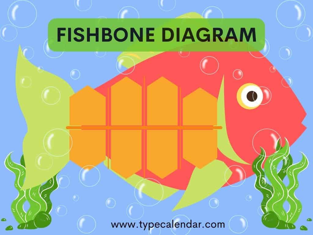 examples of fishbone diagram examples of fishbone diagram