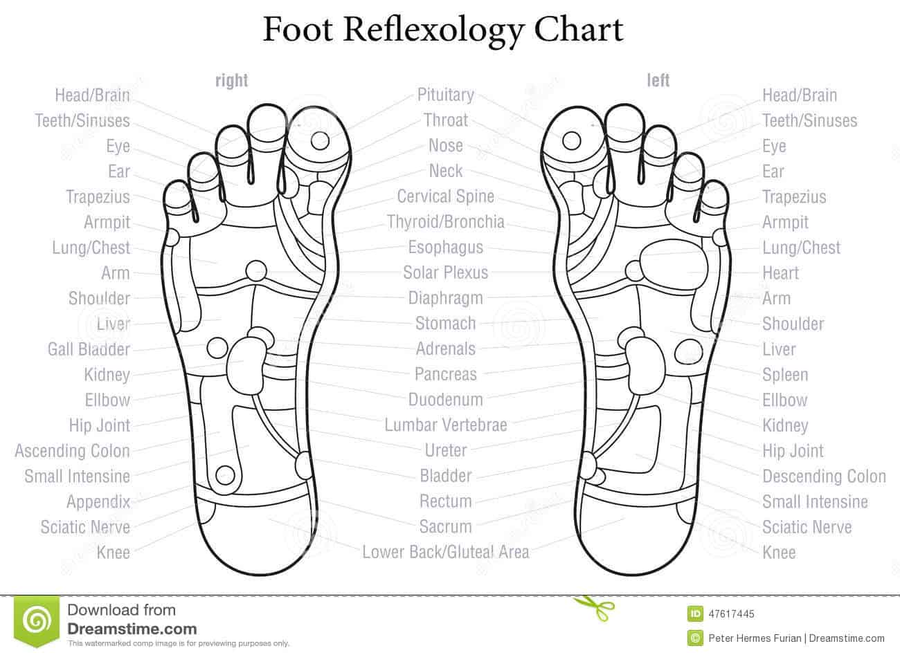 foot chart reflexology foot chart reflexology