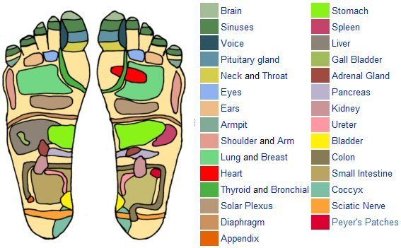foot reflexology points foot reflexology points
