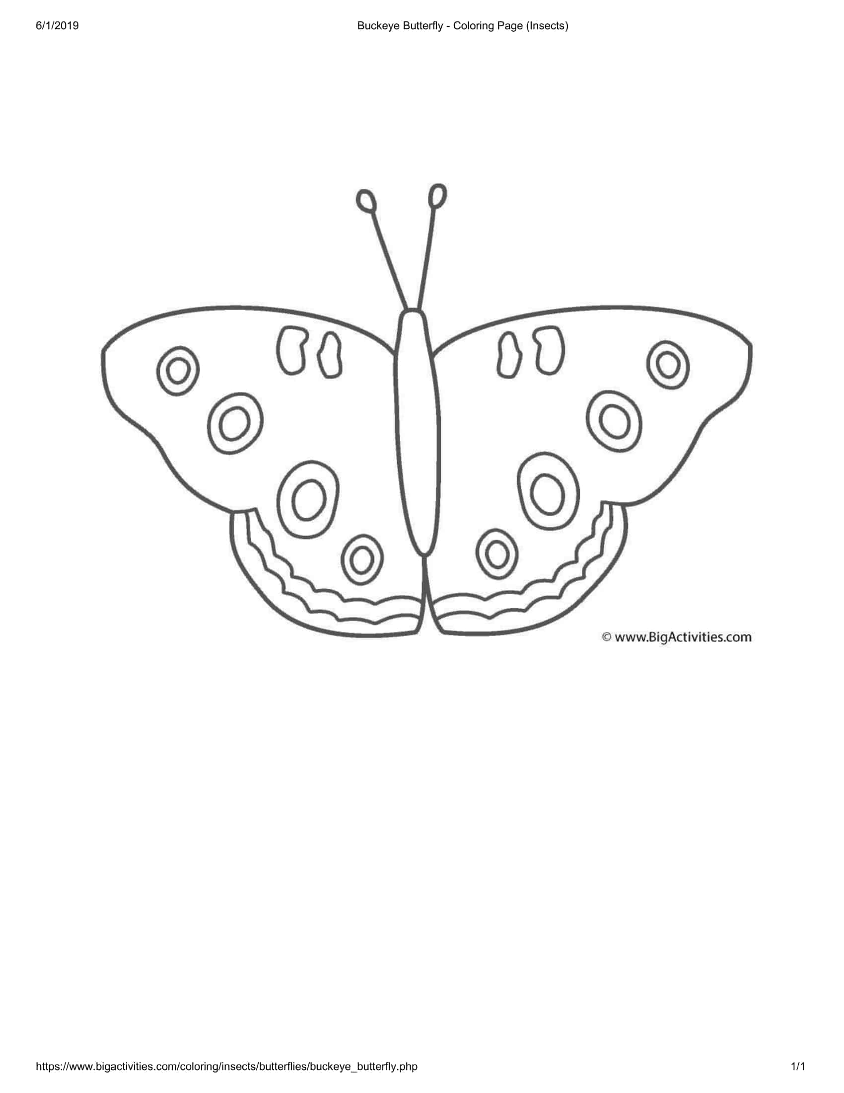 free printable 3d butterfly template free printable 3d butterfly template
