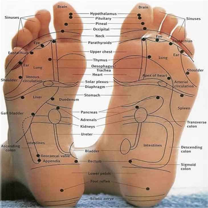 Free Printable Foot Reflexology Chart Left Right Female Baby Real Free Printable Foot Reflexology Chart Left Right Female Baby Real