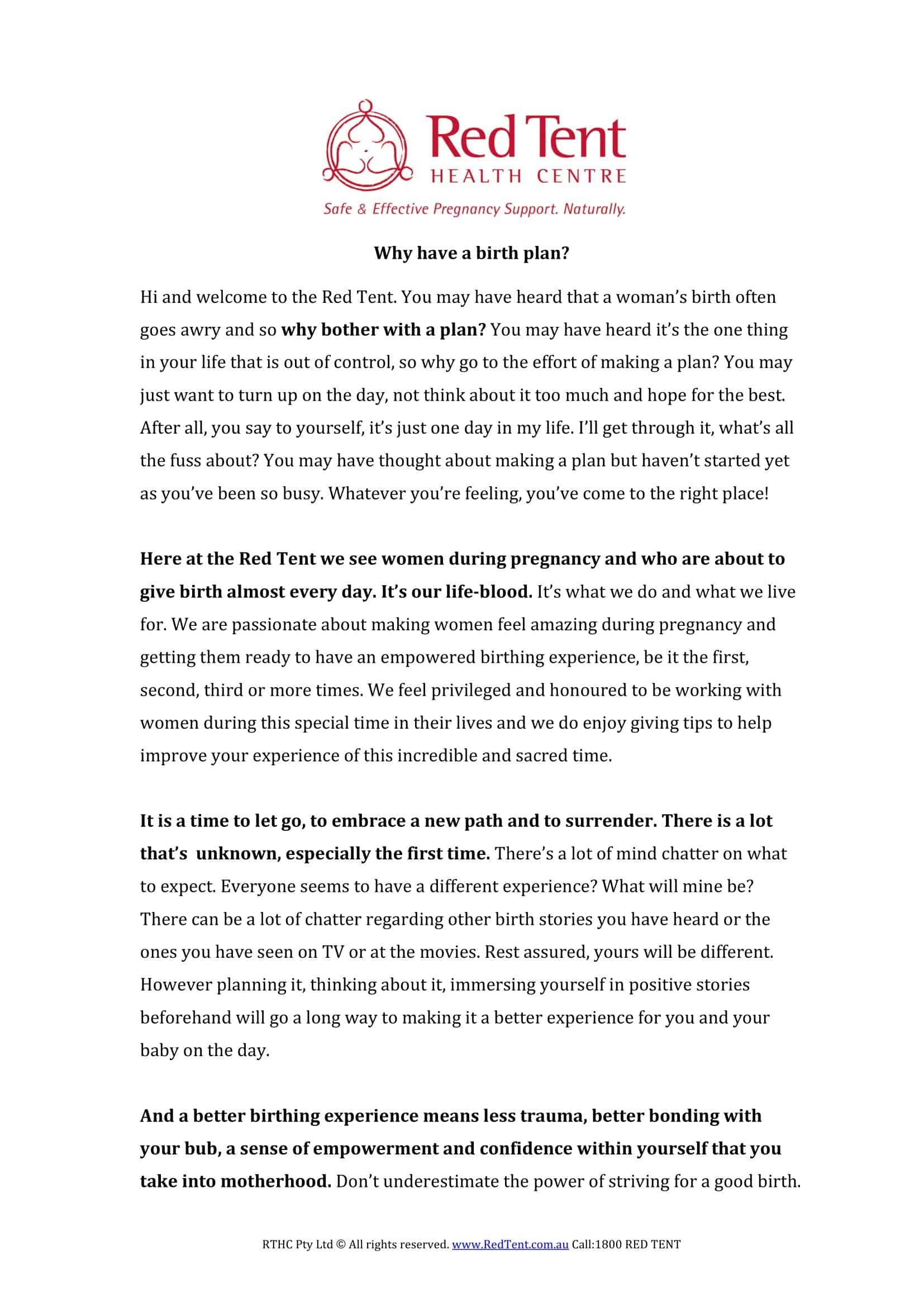 one page birth plan template one page birth plan template