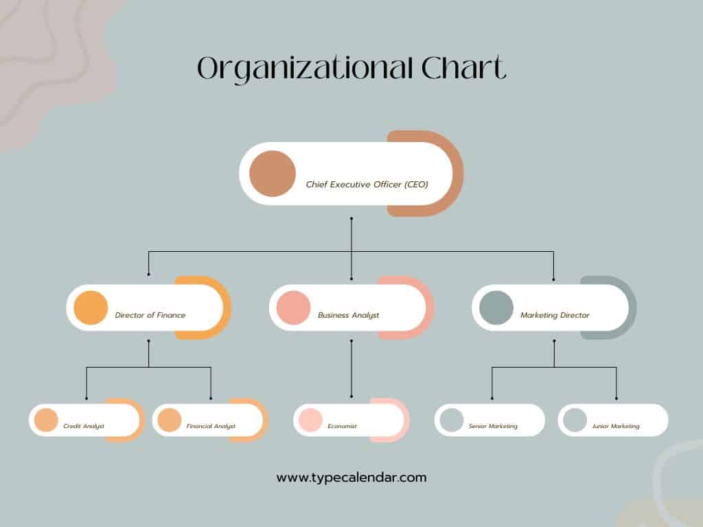 organizational charts organizational charts
