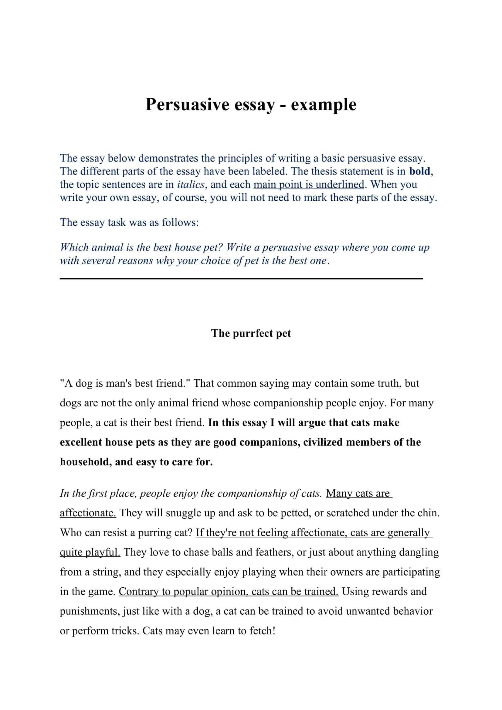 persuasive essay templates persuasive essay templates
