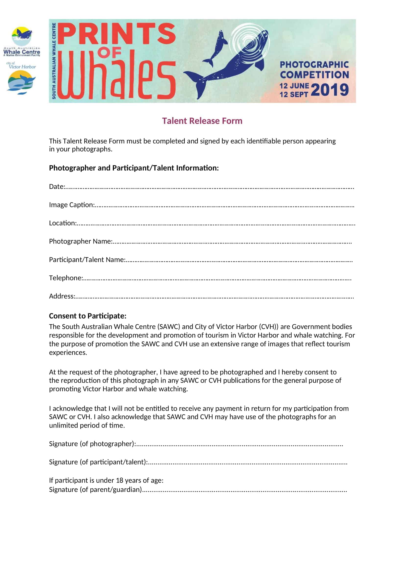 photography talent release form template photography talent release form template