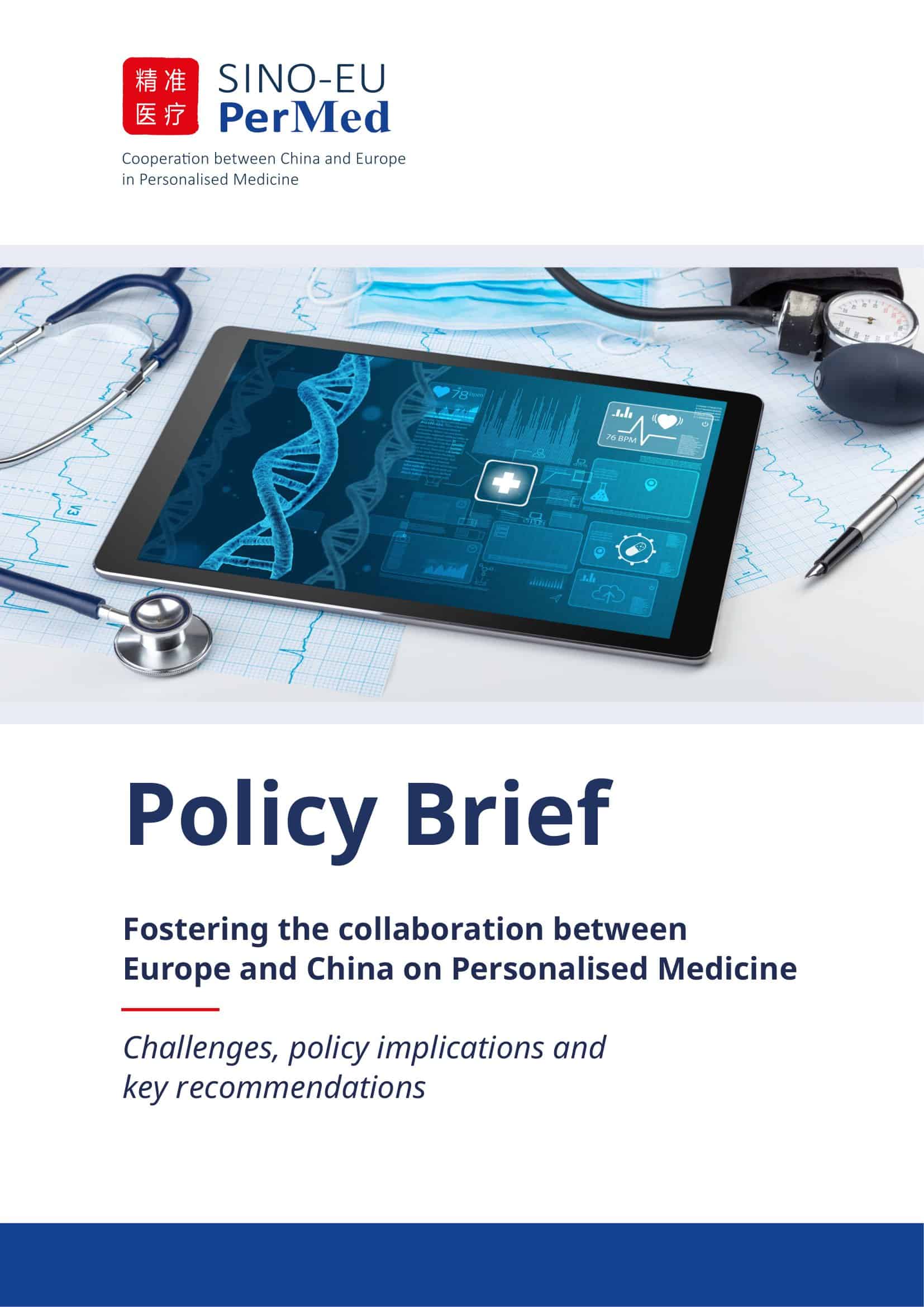 policy brief example template policy brief example template