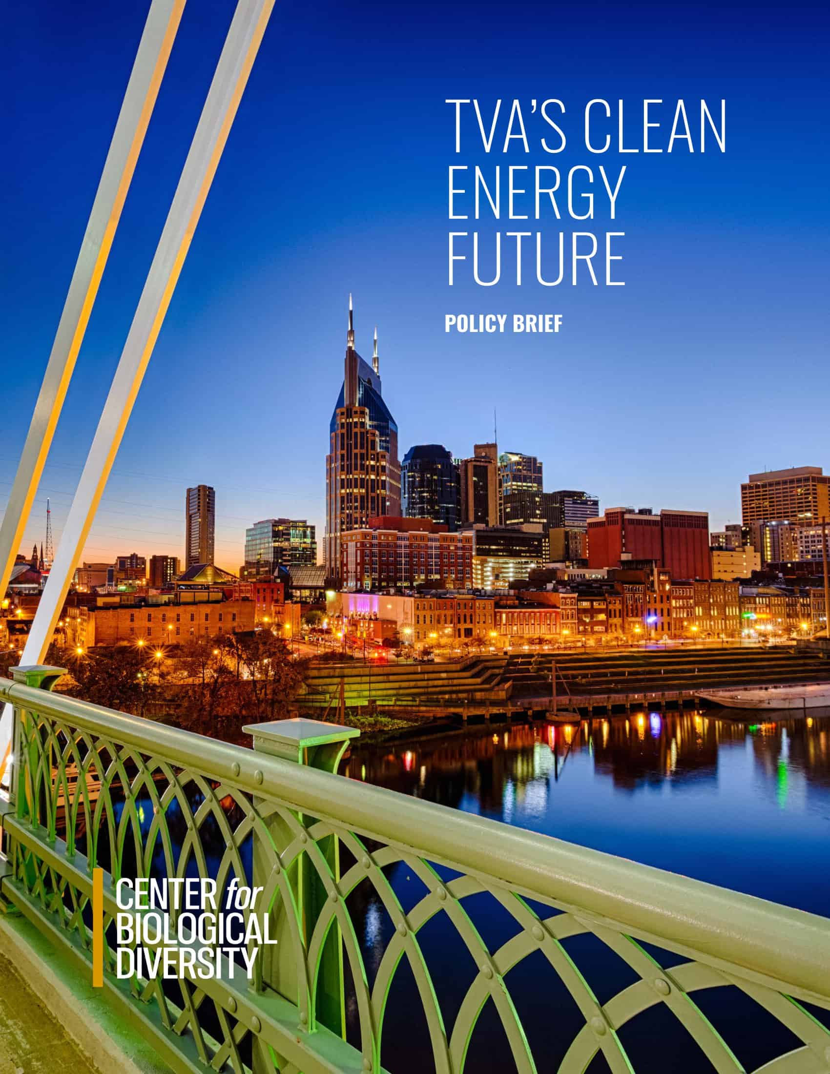 policy brief executive summary example policy brief executive summary example