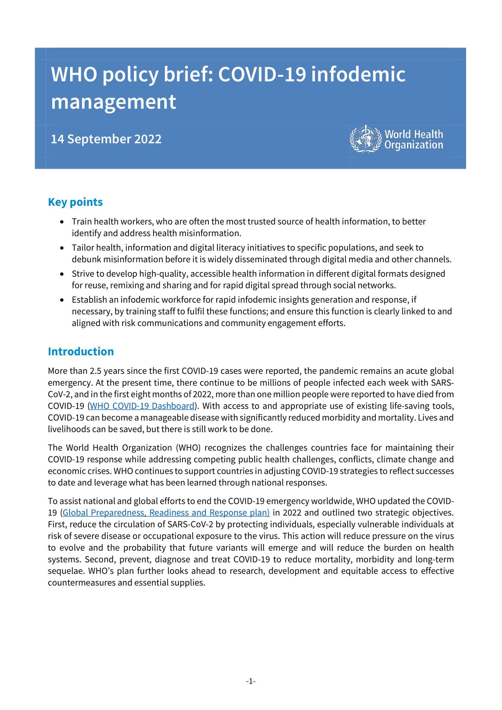 policy brief format example policy brief format example