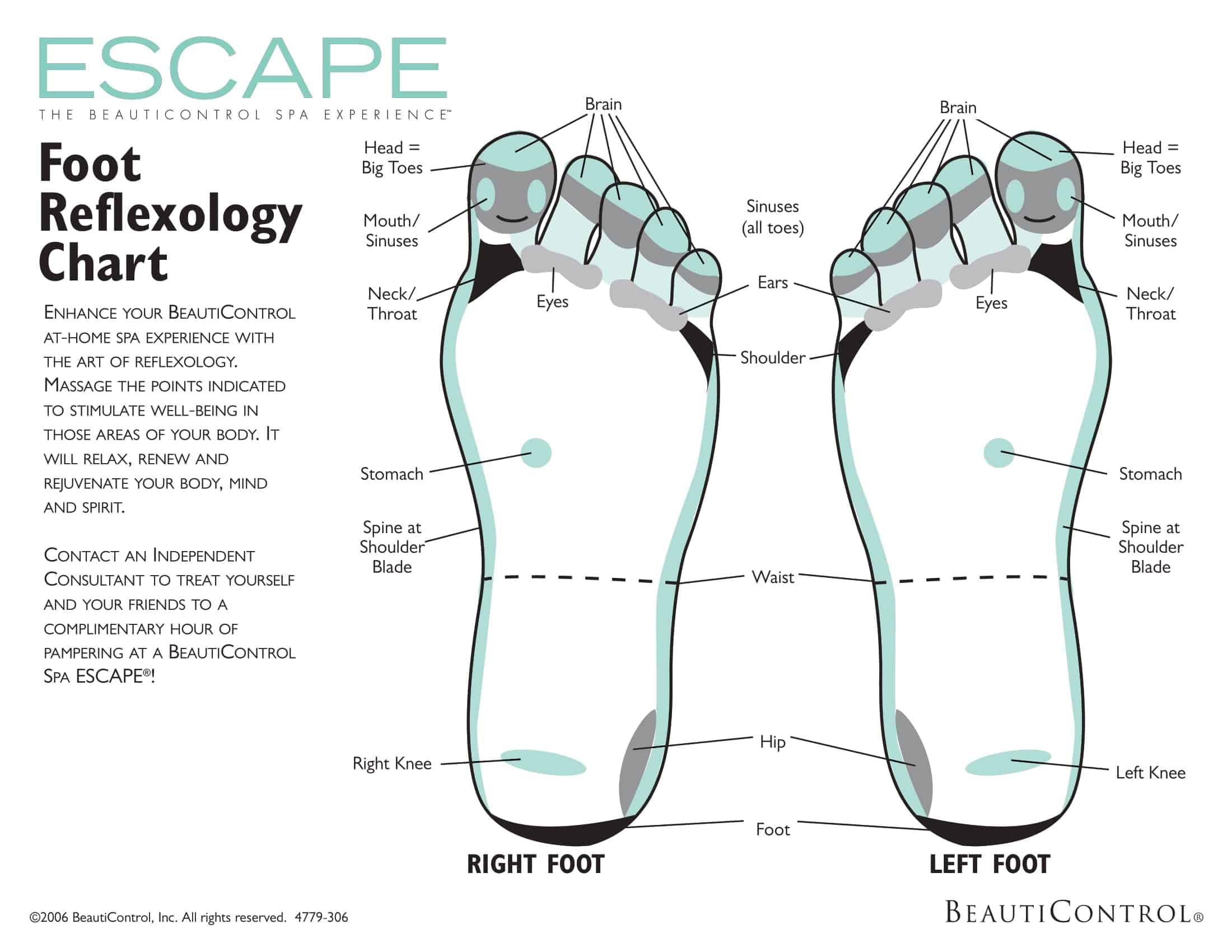 reflexology foot chart reflexology foot chart