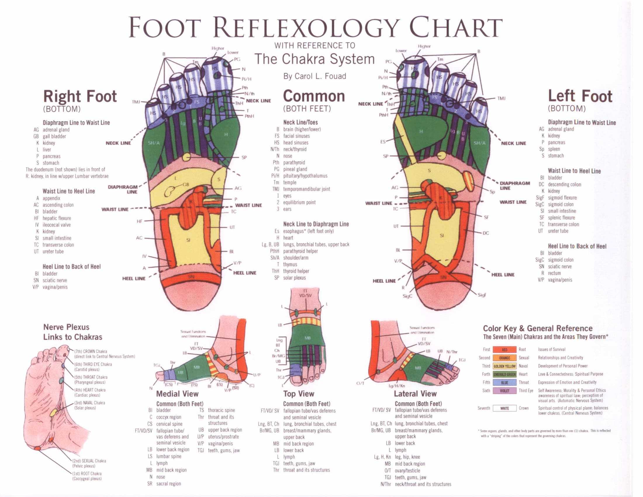 reflexology foot diagram reflexology foot diagram