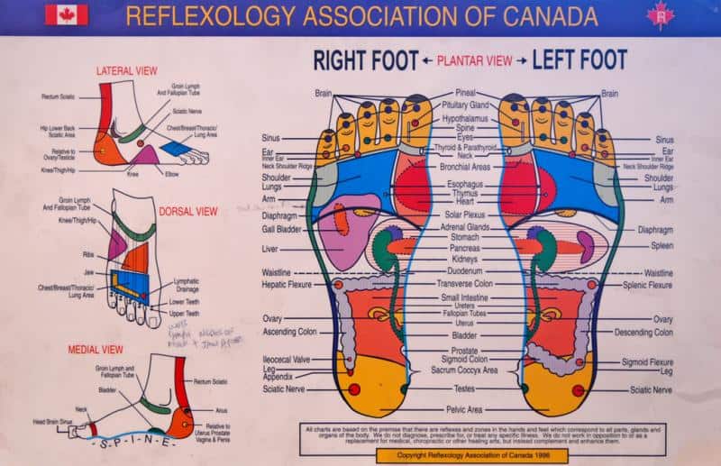 reflexology left foot reflexology left foot