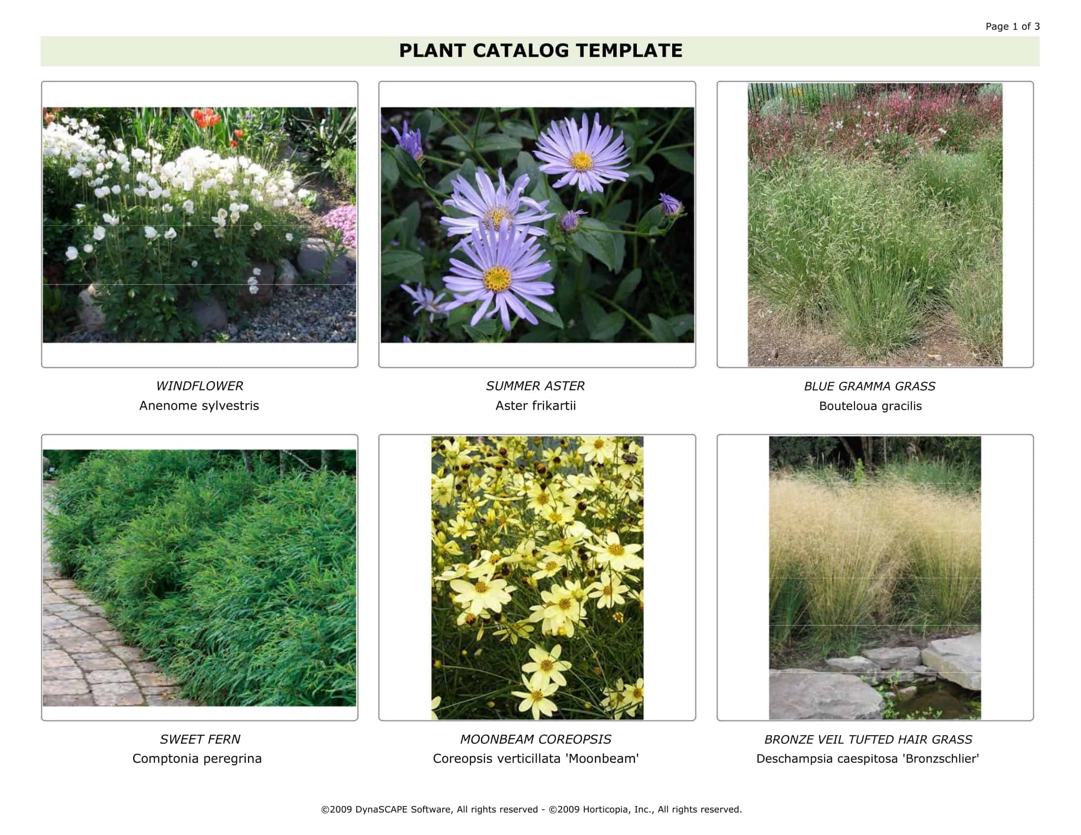 service catalogue template doc service catalogue template doc