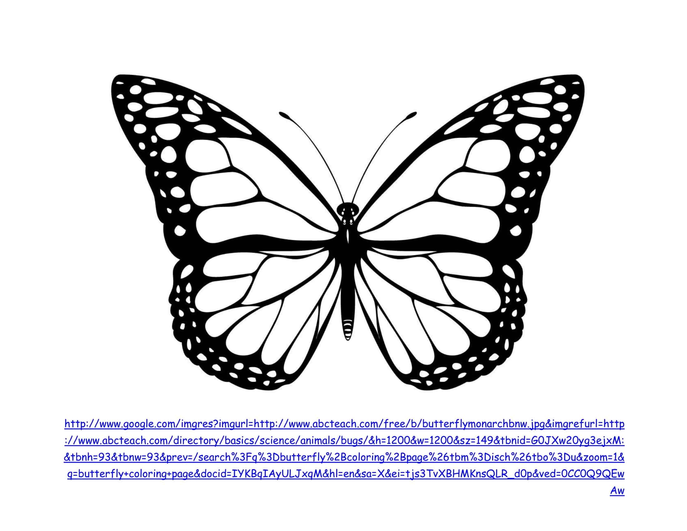 template for a butterfly template for a butterfly