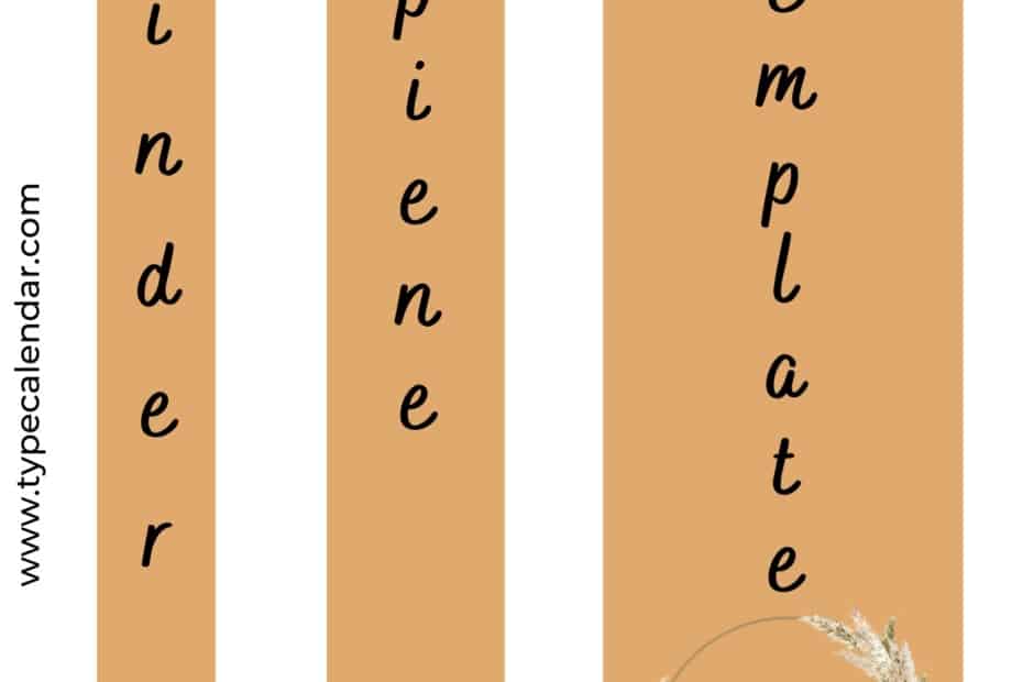 Binder Spine