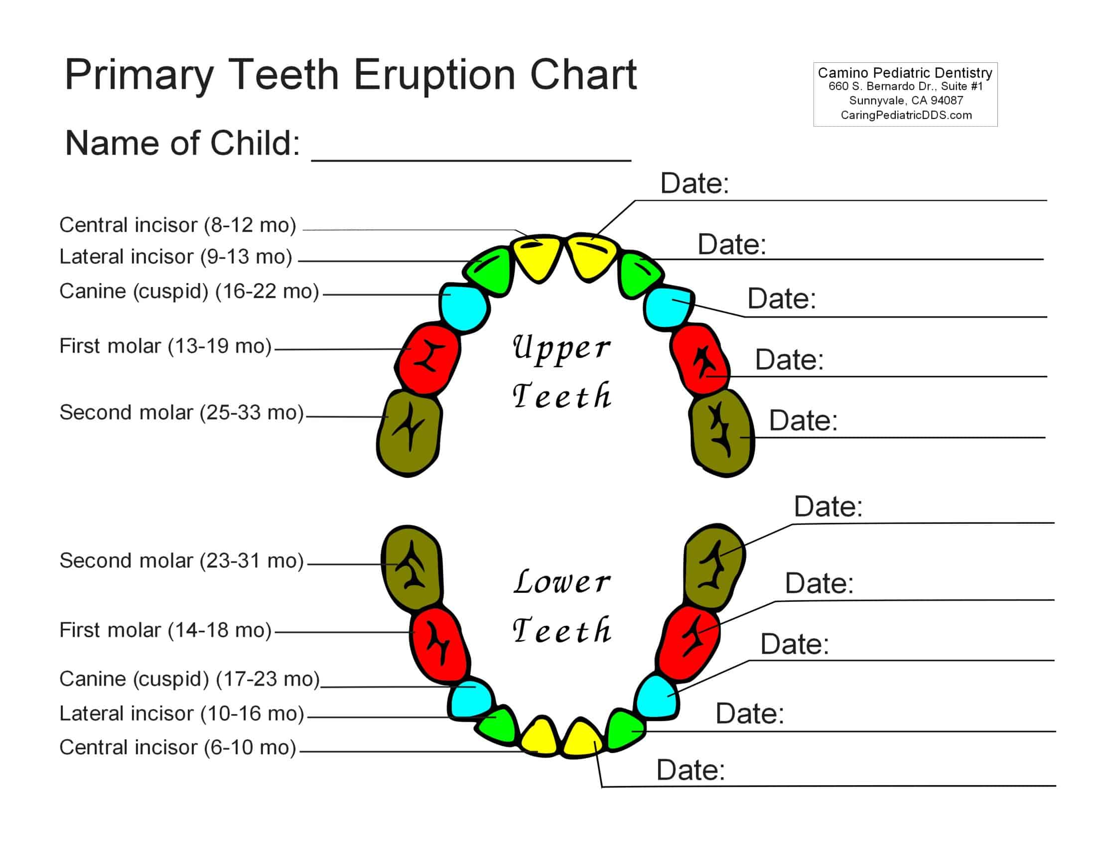 Printable Dental Chart Udlvirtual esad edu br