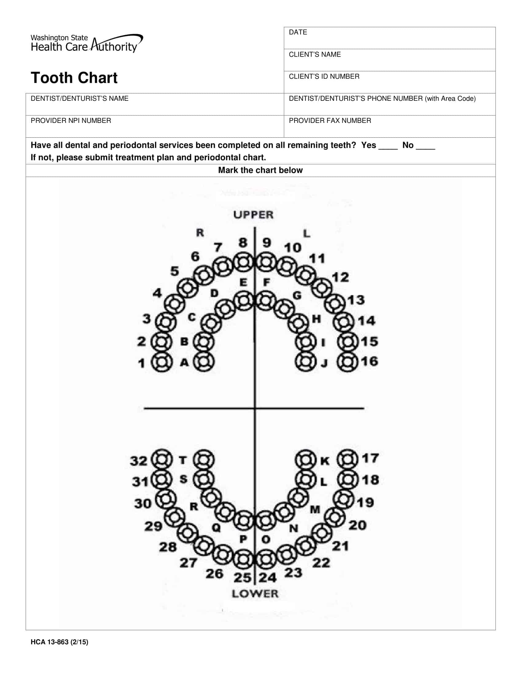 Free Printable Tooth Chart Templates Dental Chart Teeth Numbers PDF Free Printable Tooth Chart Templates Dental Chart Teeth Numbers PDF