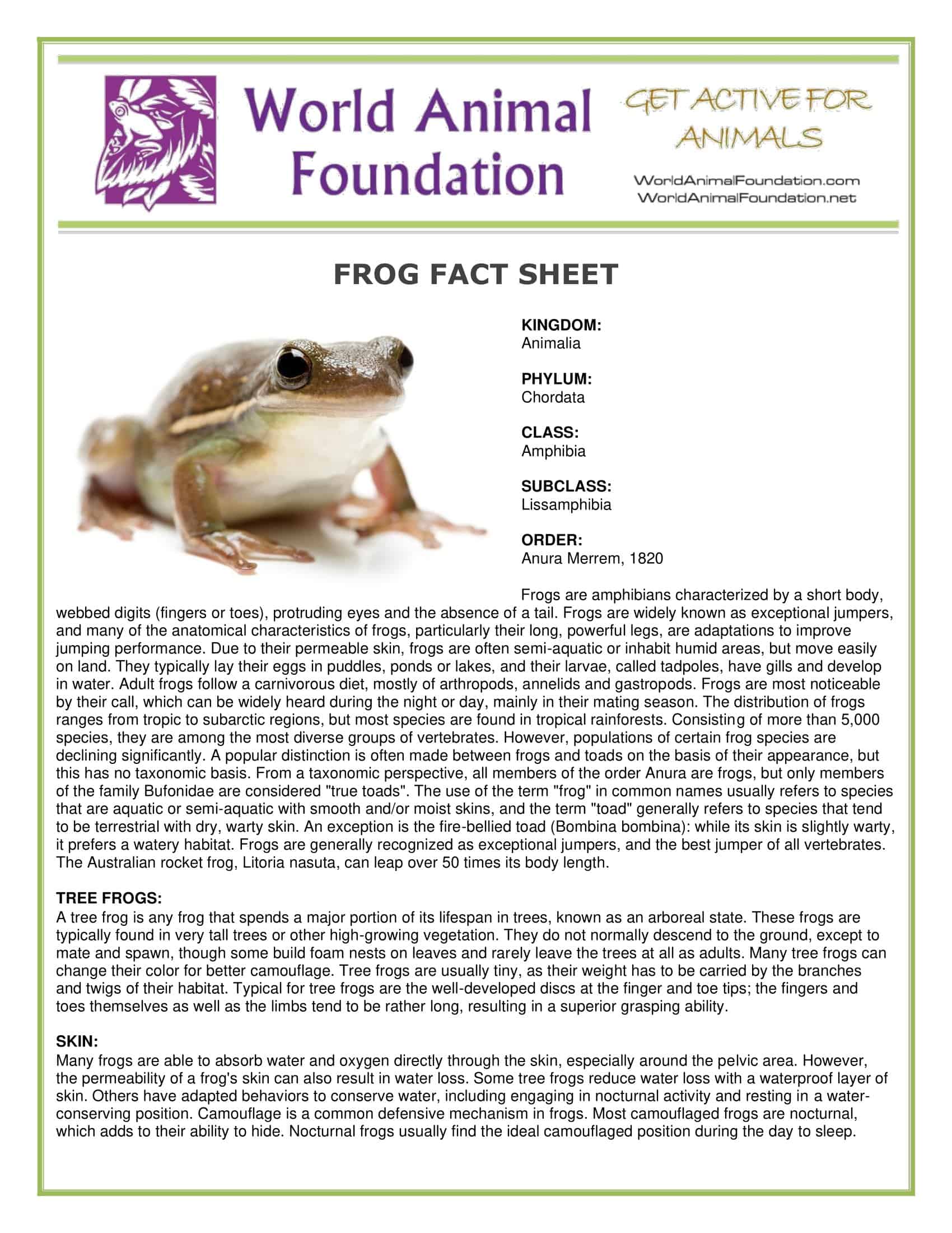Free Printable Fact Sheet Templates [Word, PDF, Excel]