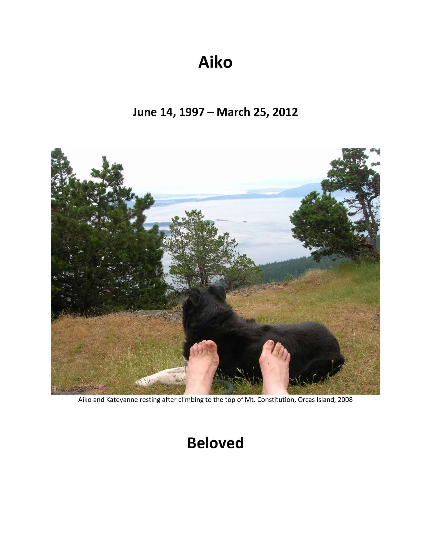 Editable Sample Funeral Program Template Editable Sample Funeral Program Template