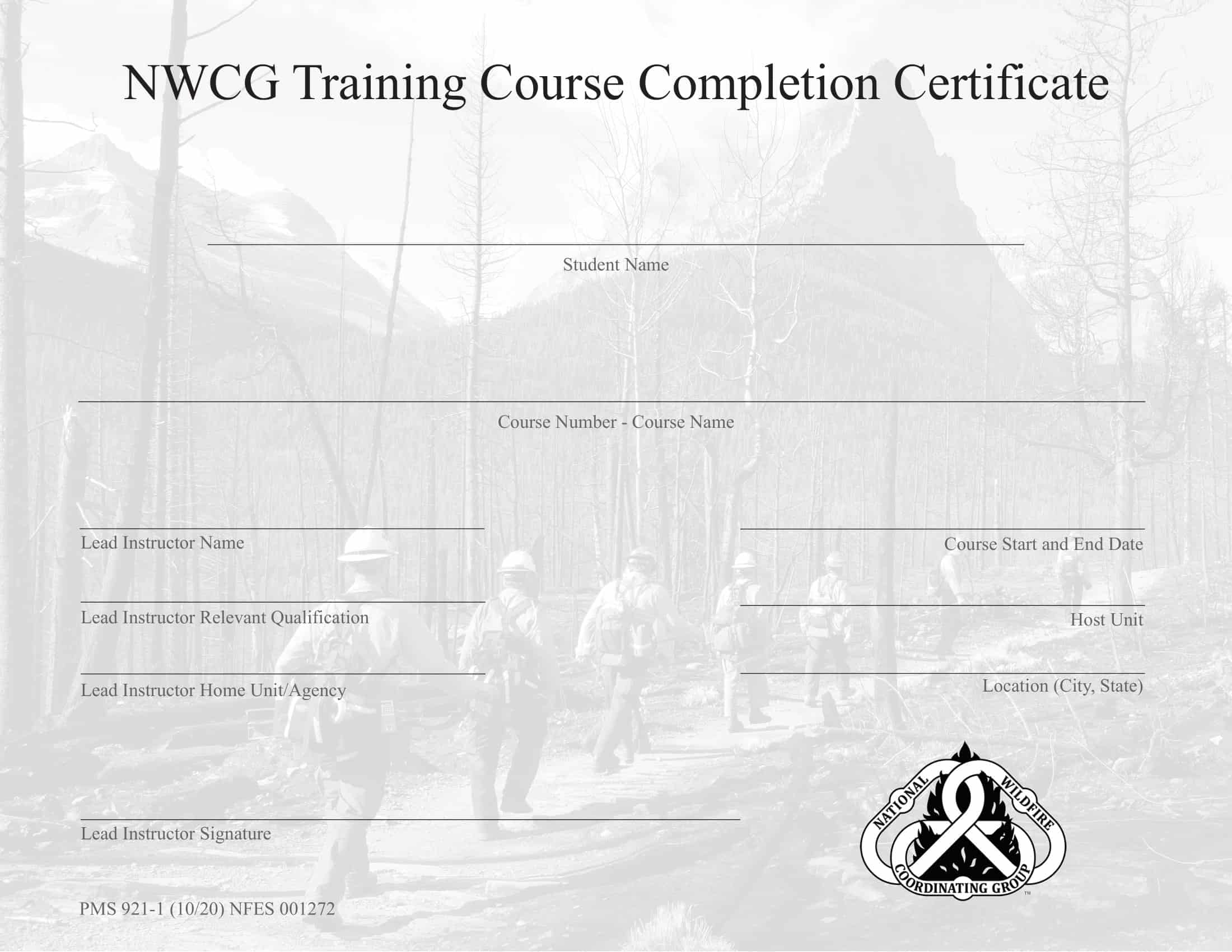 Free PDF Word Sample Certificate of Completion Free PDF Word Sample Certificate of Completion