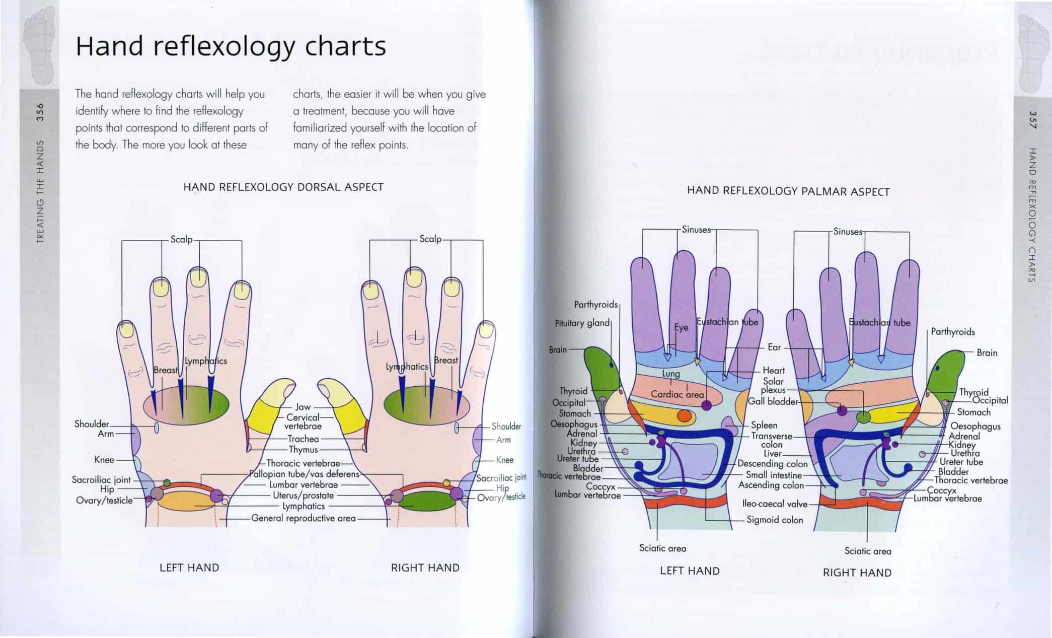 free-printable-hand-reflexology-templates-charts-maps-pdf