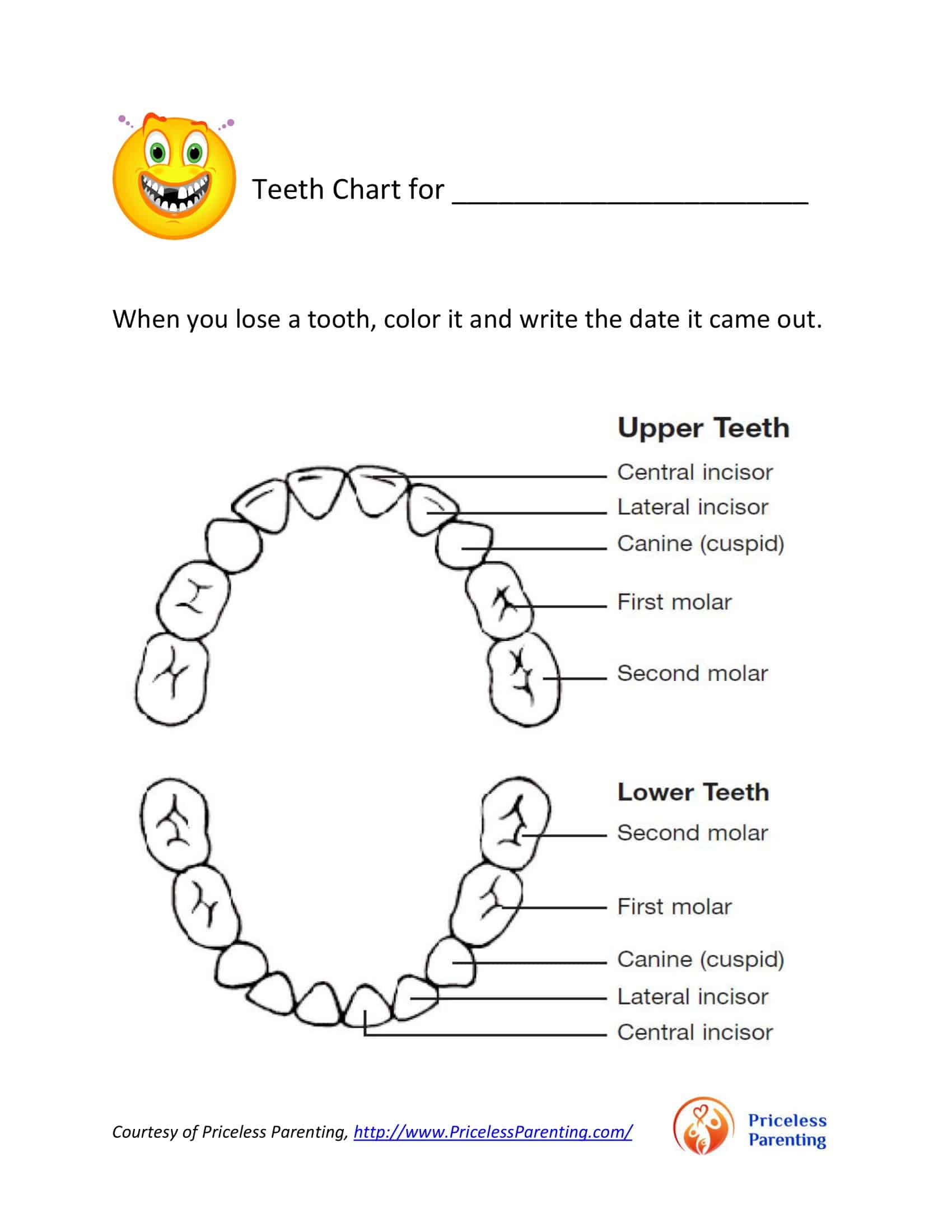 Free Printable Tooth Chart Templates Dental Chart Teeth Numbers PDF