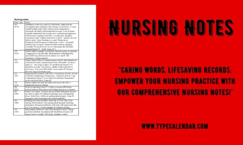 Free Printable Nursing Notes Templates [Word, PDF]