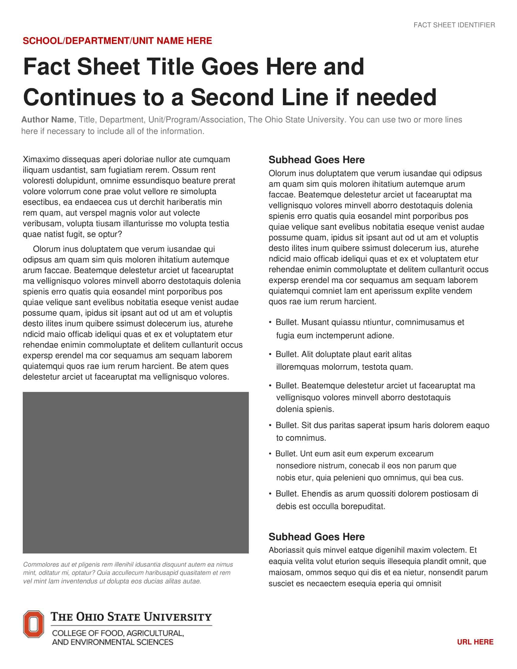 Printable Sample Fact Sheet Template Printable Sample Fact Sheet Template