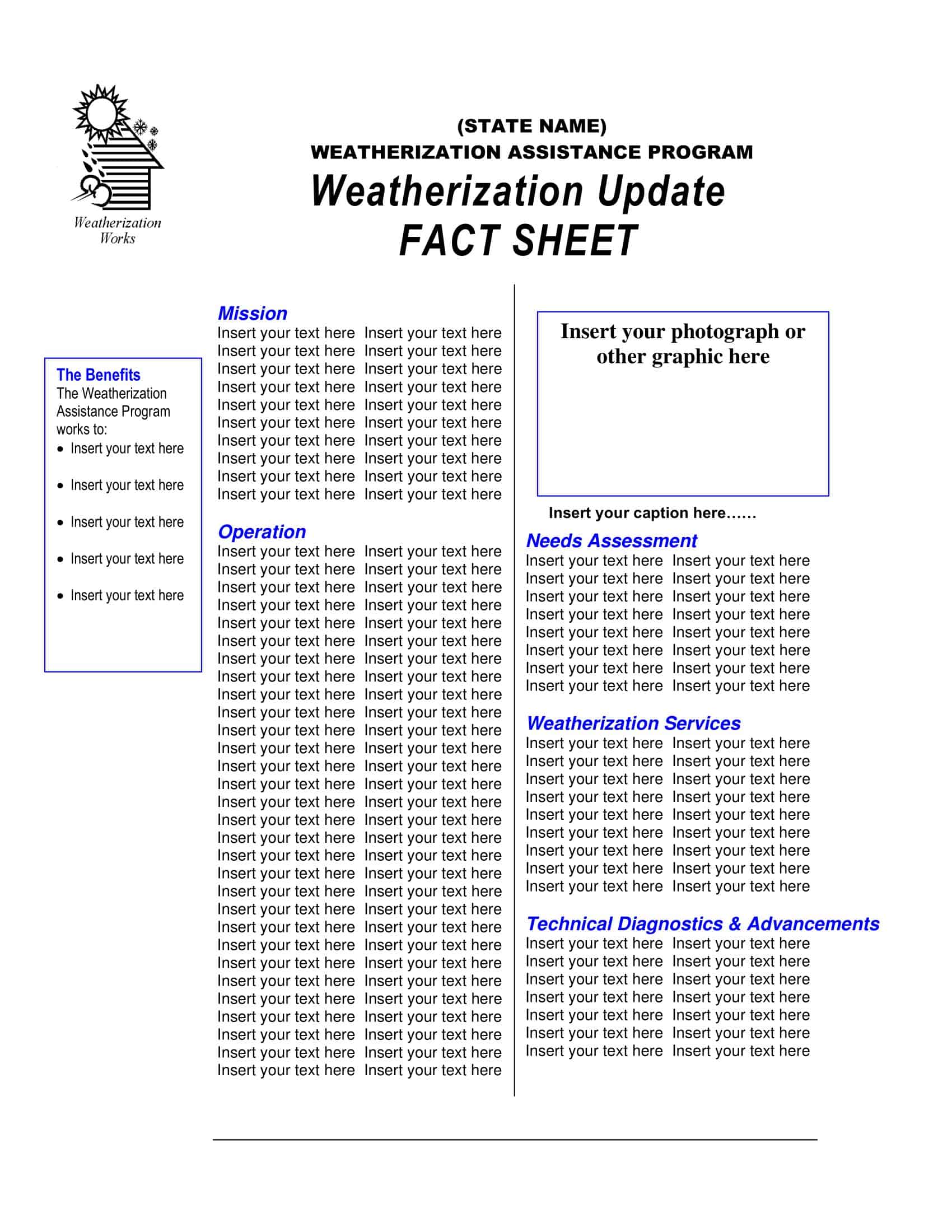 Word Fact Sheet Template Word Fact Sheet Template