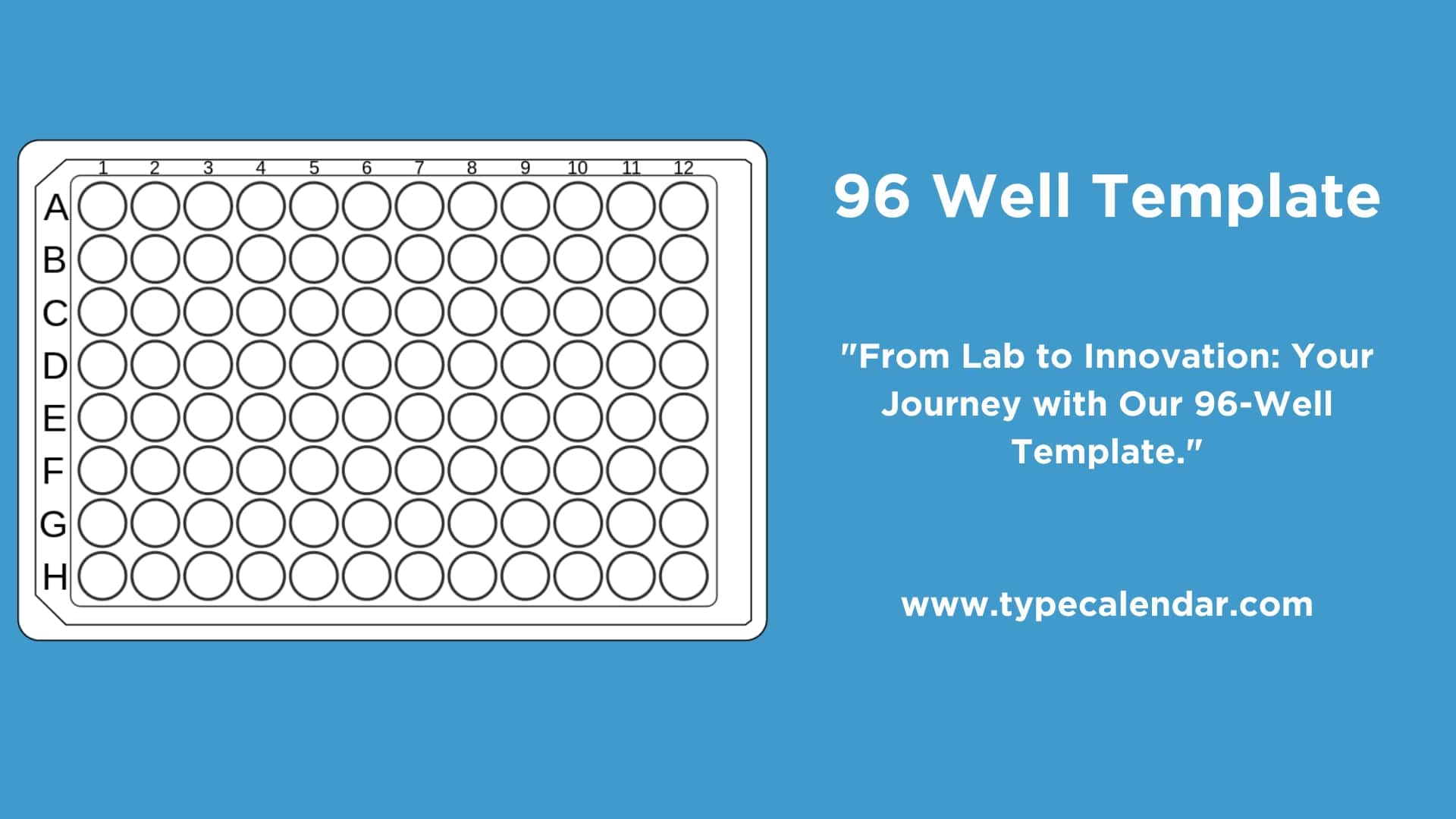 96 Well Plate Template Printable Printable Free Templates 96 Well Plate Template Printable Printable Free Templates