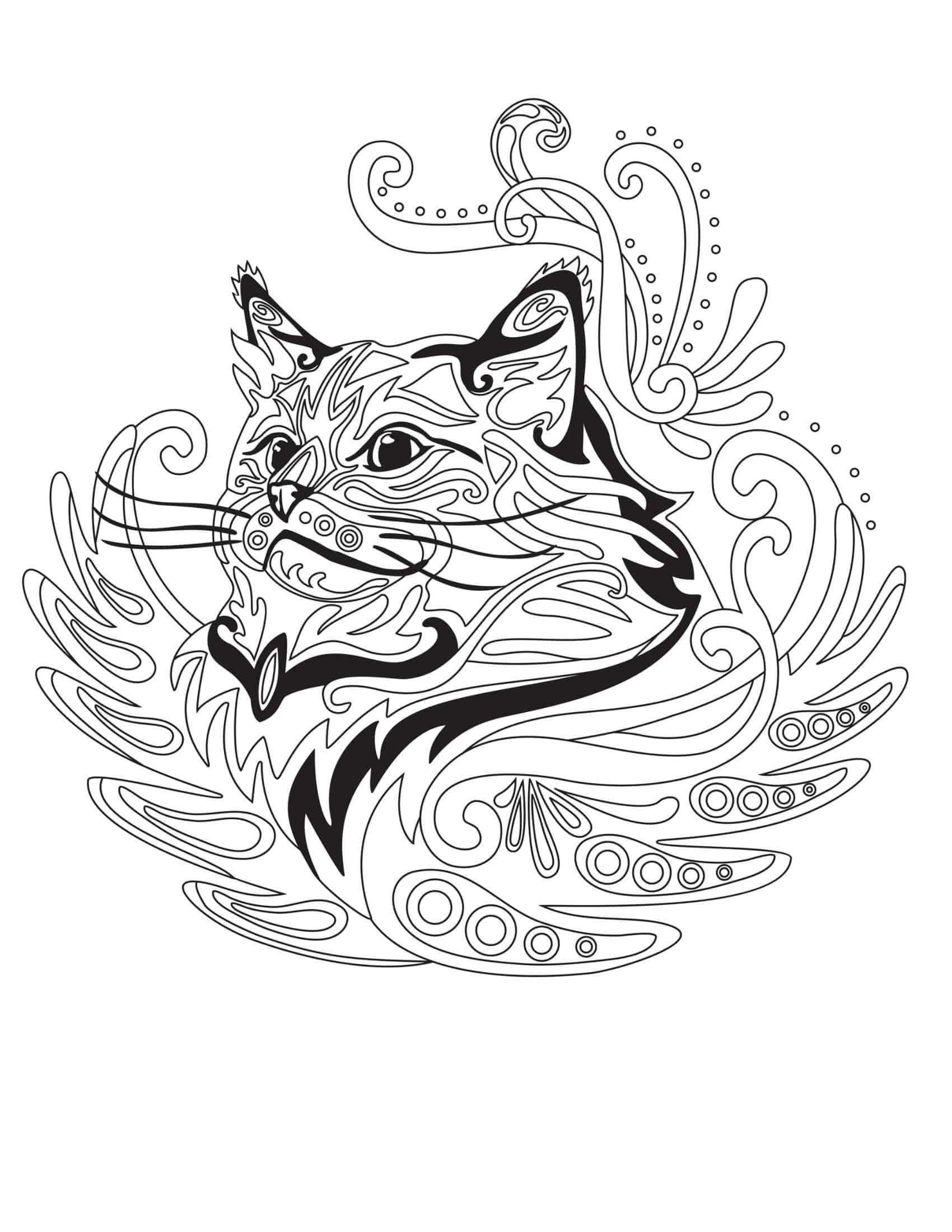 Blank Cat Coloring Pages Word Blank Cat Coloring Pages Word