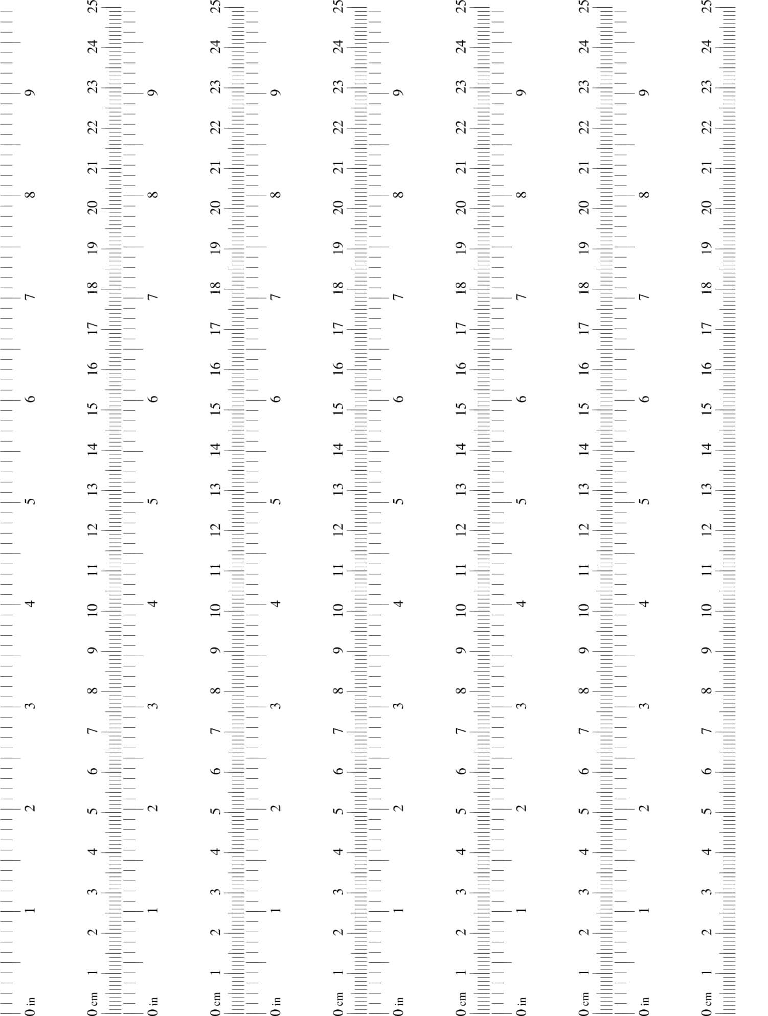 Blank Editable Ruler PDF Blank Editable Ruler PDF