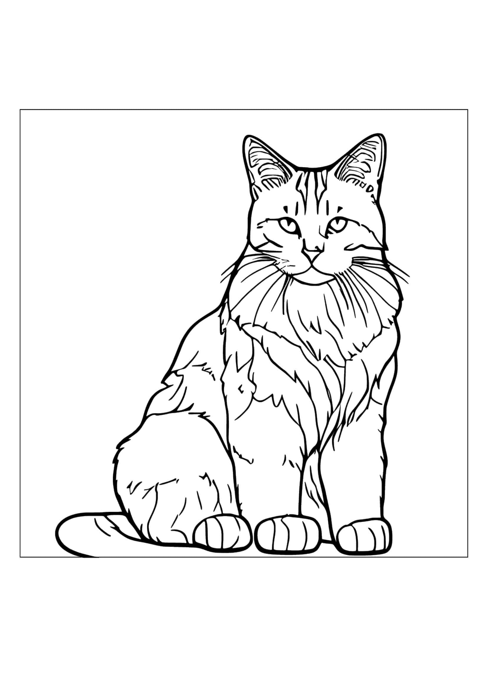 Cat Coloring Pages Example PDF Cat Coloring Pages Example PDF