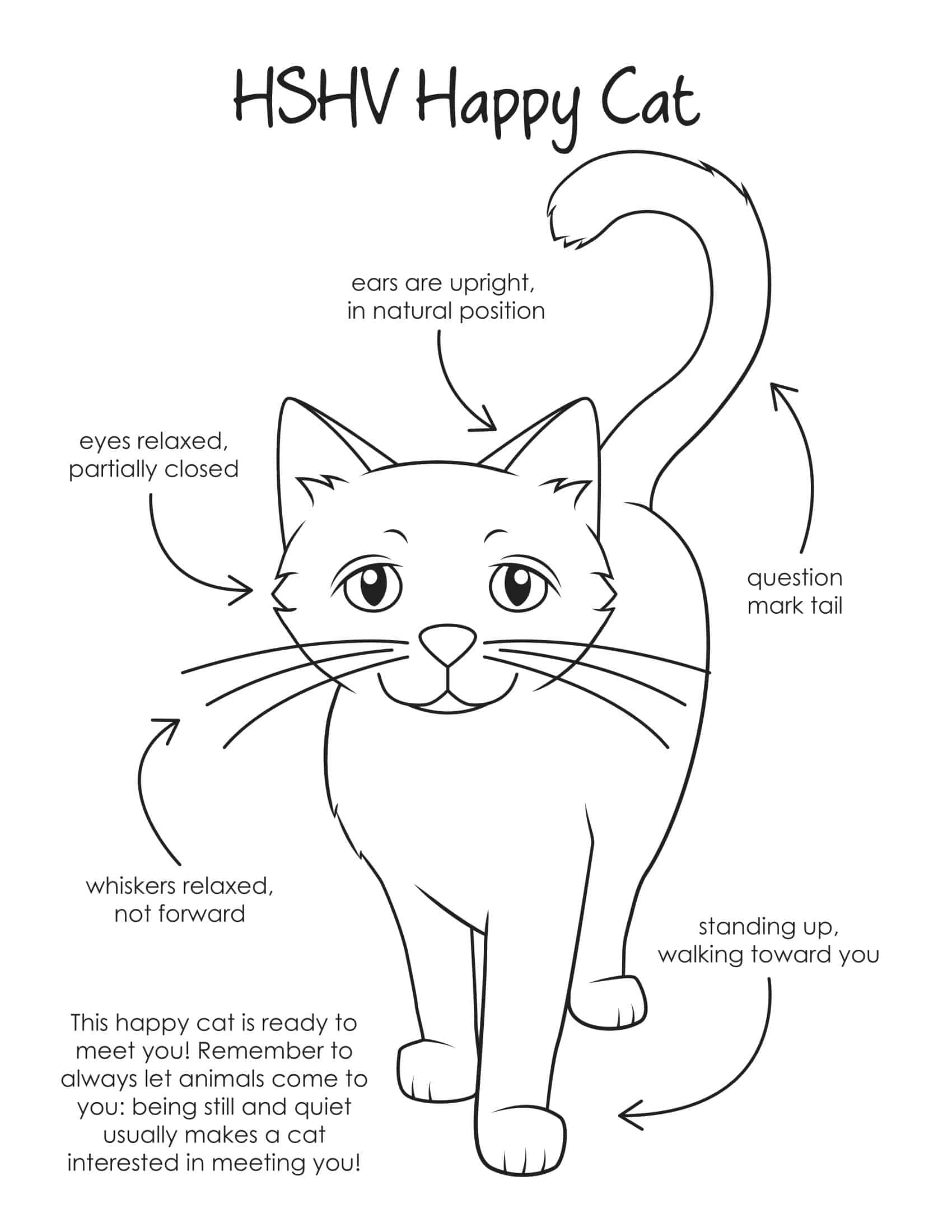 Cat Coloring Pages Word Download Cat Coloring Pages Word Download